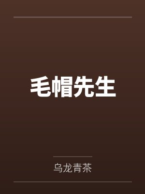 毛帽先生 毛帽先生