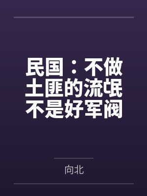 民国：不做土匪的流氓不是好军阀by向北笔趣阁无弹窗